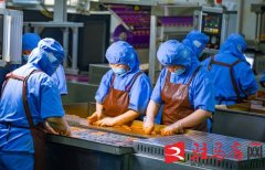 说明“来历：驻马店网”