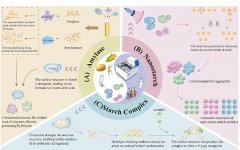 <b>提高反映效率；并满脚环保材料</b>